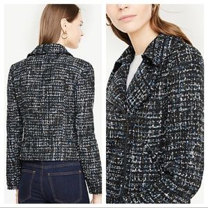 $189 NWT Ann Taylor Sparkly Tweed Moto Jacket